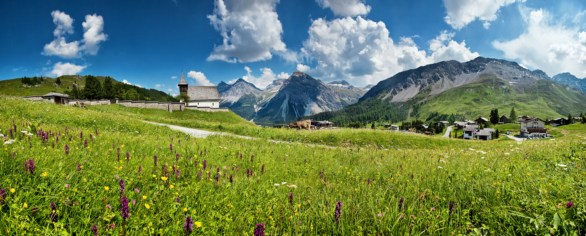 bk_pano_sommer.jpg